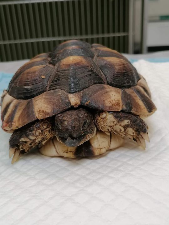 Nyt på opslagstavlen i Herning