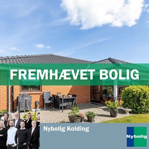 opslagsbillede