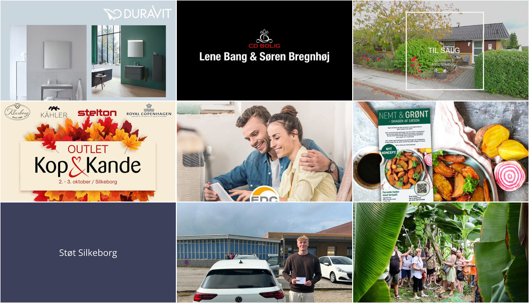 Nyt fra Ans Rejser A/S, VangVedVængets VVS, EDC Torben Larsen og 5 andre