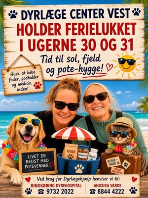 opslagsbillede