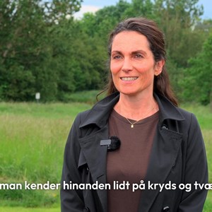opslagsbillede
