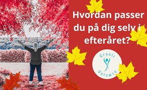 opslagsbillede