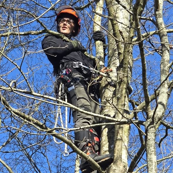 Djurslands Træfældning byder ny lærling velkommen til teamet