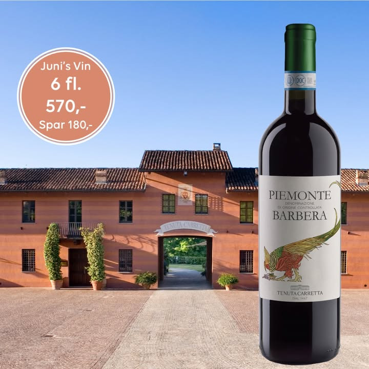Lahvino Wine & Spirits har juni-tilbud på 6 flasker Barbera d'Alba DOC til 570 kr.