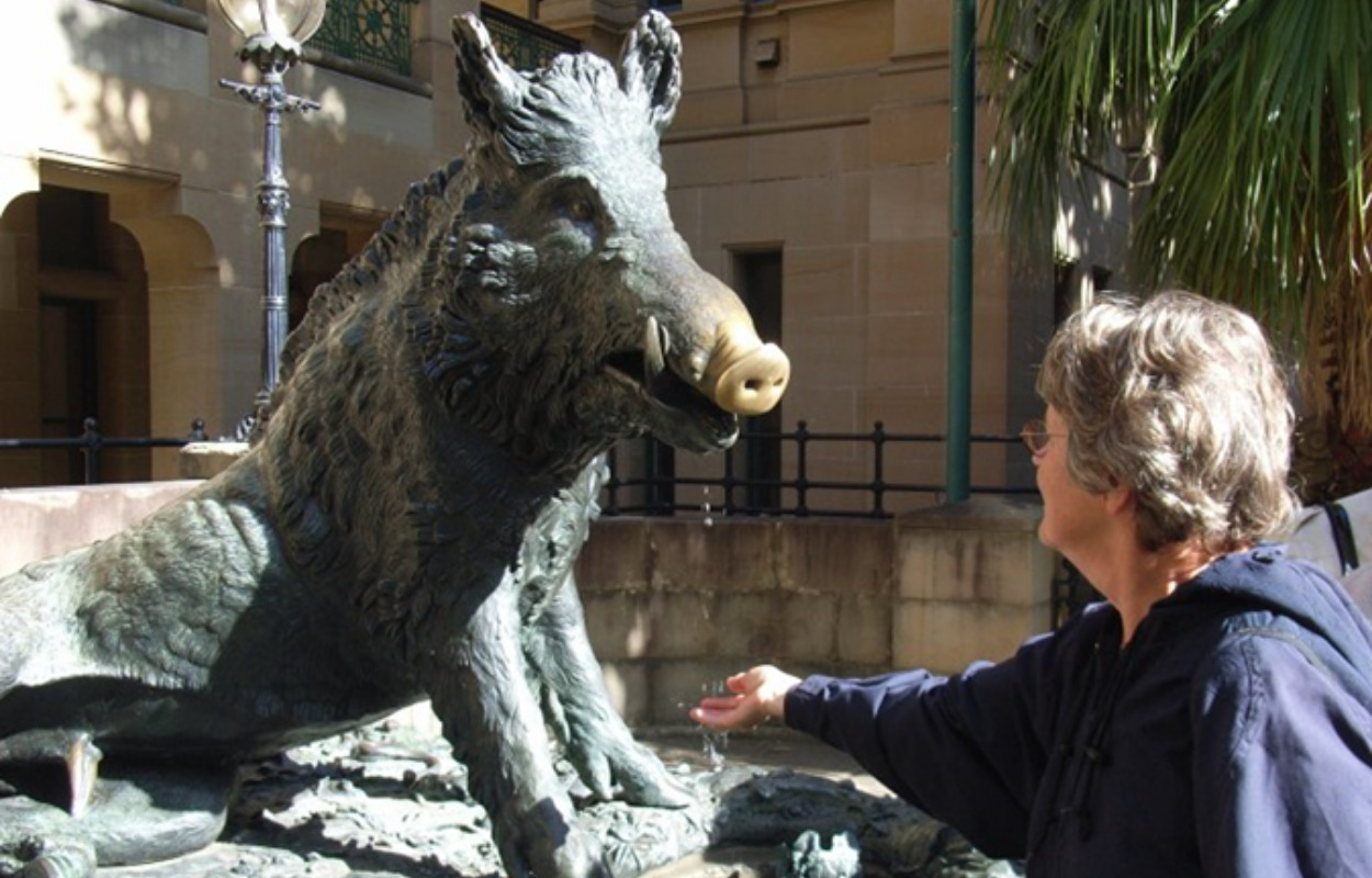 Svin i kultur og sprog – ved svinekonsulent Sigurd Østergaard.