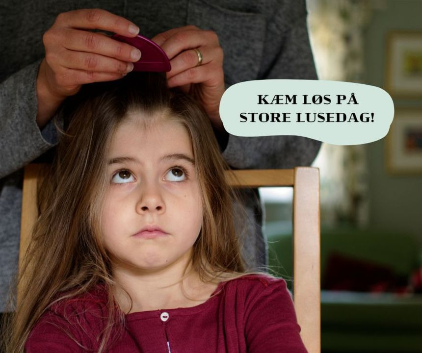 Opslagstavlen: Nyeste opdateringer fra Vejle