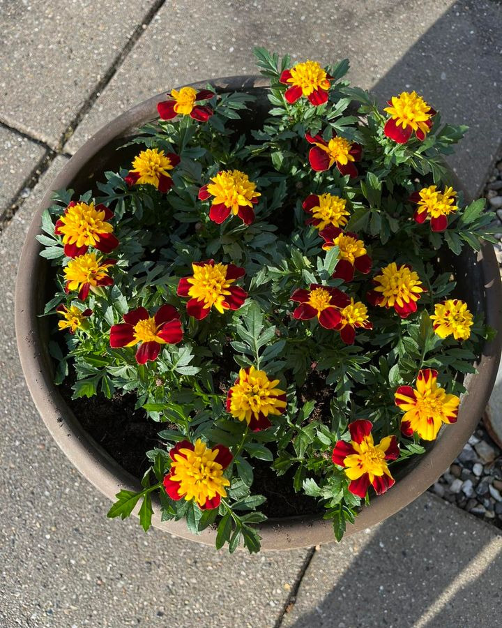 Nyt på opslagstavlen i Lystrup