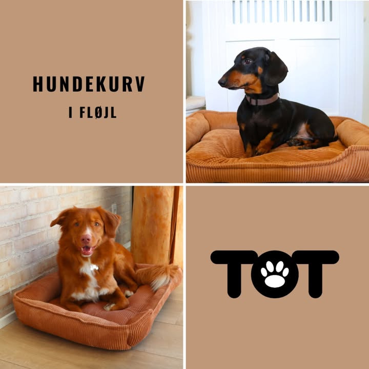 Meny Gl. Skagensvej tilbyder sidste hundekurv i fløjl fra TOT til specialpris