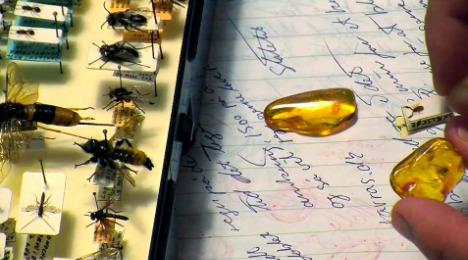 Oplev ravets hemmeligheder og lyden af Slagteriet i Holstebro