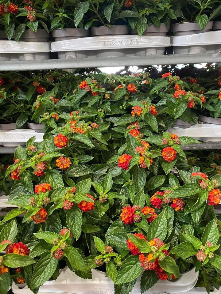 Nyt på opslagstavlen i Horsens