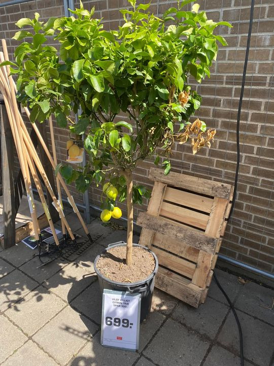 Hold trit med lokalområdet: Nyt fra Viby J