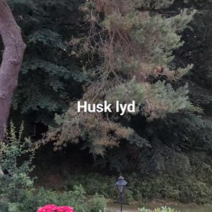 Opslagsbillede
