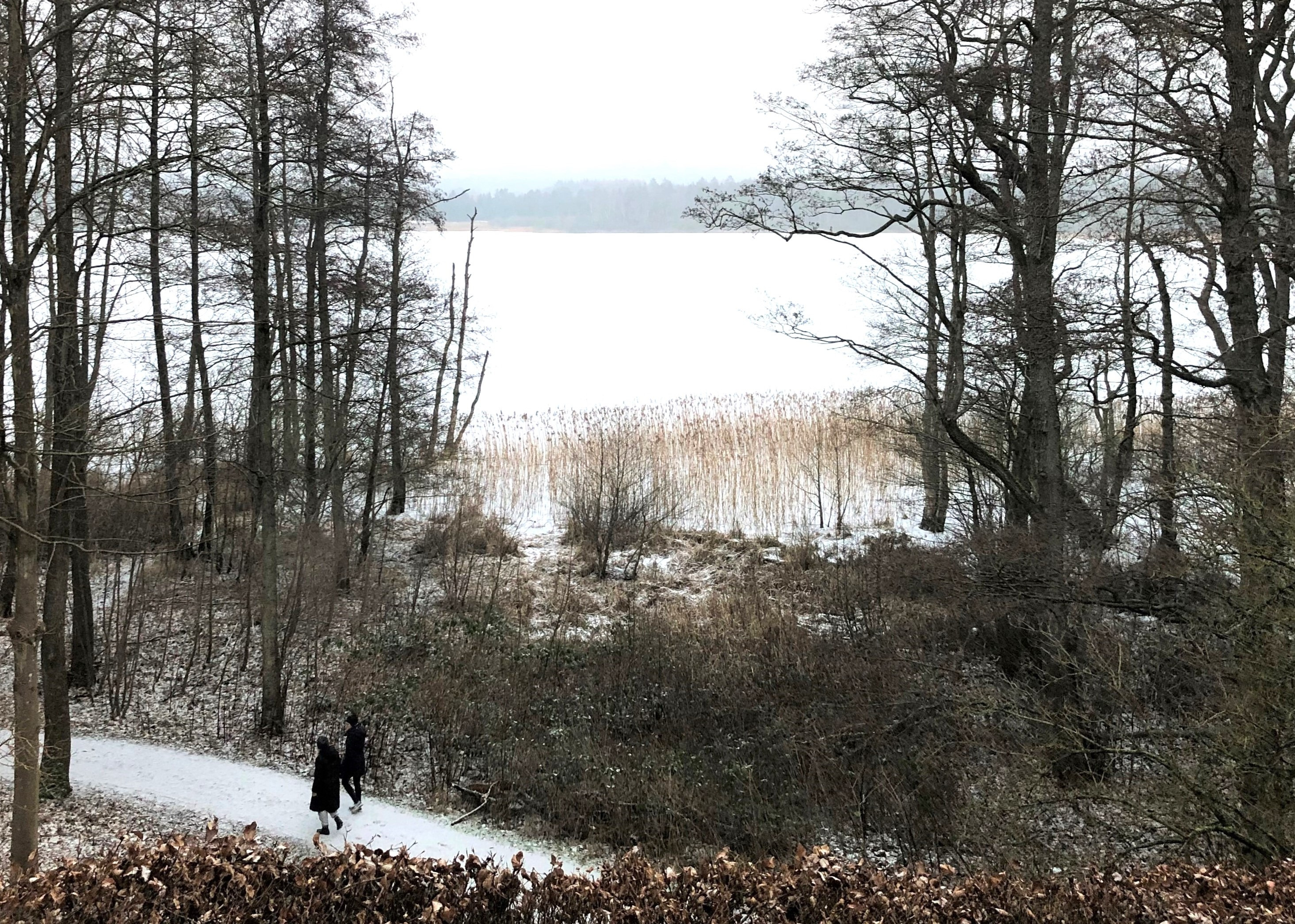 Nytårs-walk på KunstCentret Silkeborg Bad støtter Danmarksindsamlingen