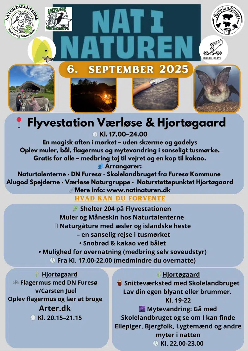 Oplev natten på Hjortøgaard: Flagermus og dyreliv i mørket