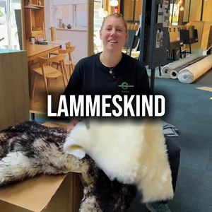 Opslagsbillede
