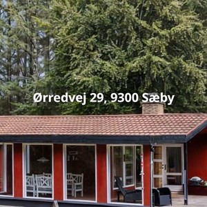 Opslagsbillede