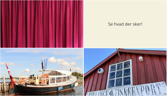 Oplev Jyllinge: Filmklub, Sejltur til Eskilsø og Historisk Vandring