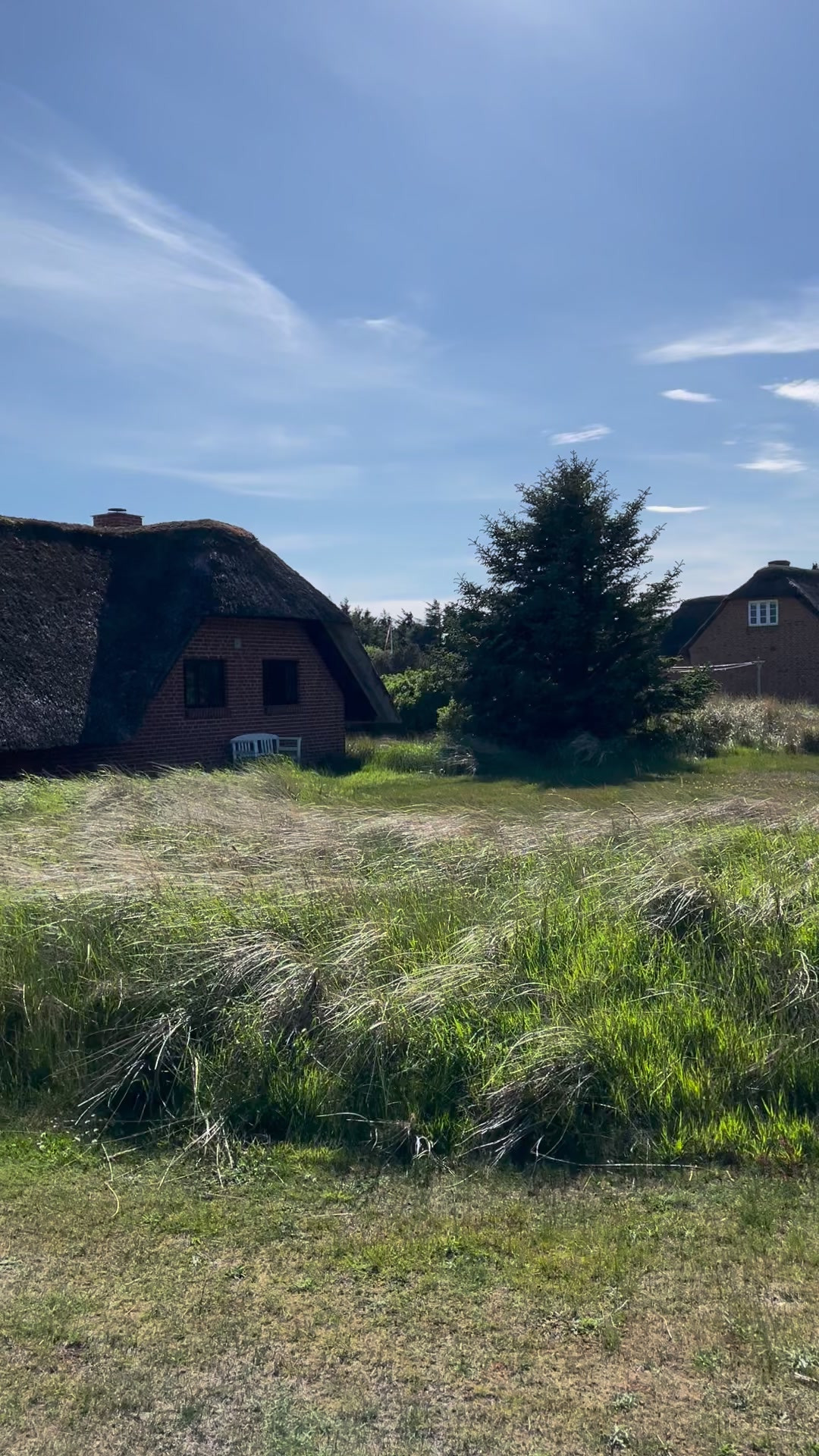 Det nyeste på Vembs opslagstavle