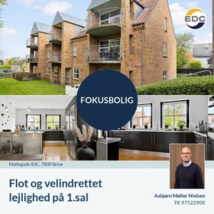 Opslagsbillede