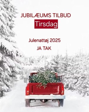 opslagsbillede