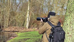 Holstebro fremmer biodiversitet ved at lade døde træer ligge i naturen