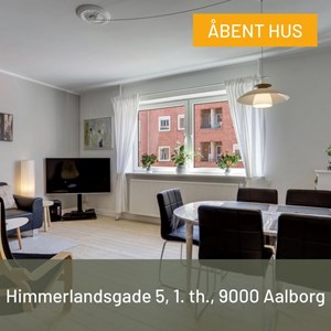 opslagsbillede