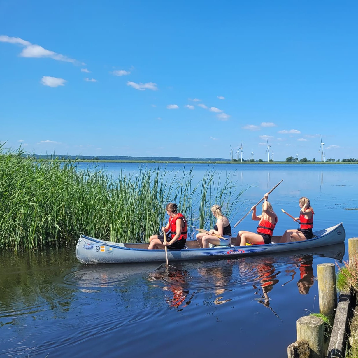 Oplev vandets glæder i Naturpark Randers Fjord