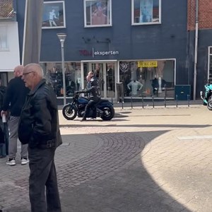 Opslagsbillede