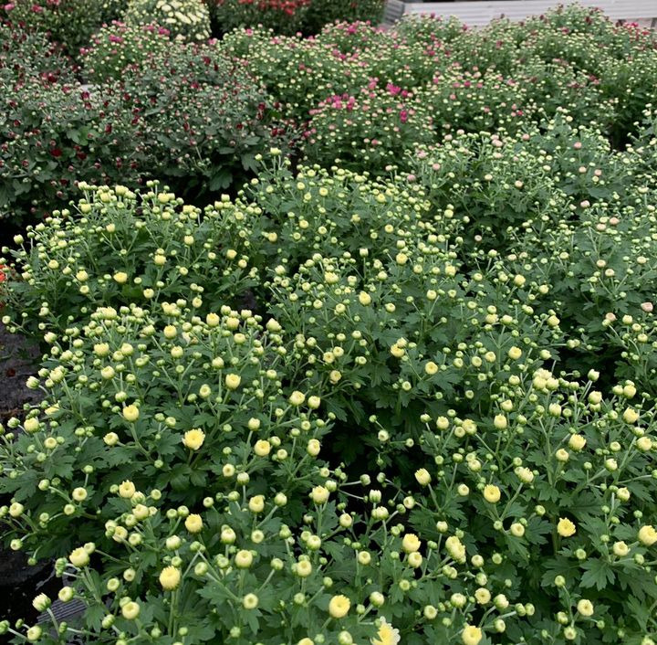 Hold dig ajour med dagens opdateringer fra Brønderslev