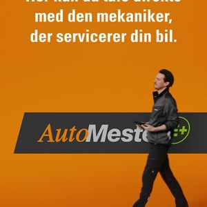Opslagsbillede