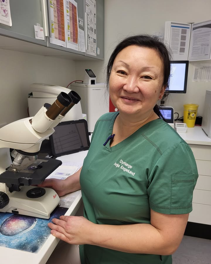 Dyrehospitalet Heden ApS fremhæver deres dygtige dyrlæge Anjas arbejde med allergi og hudsygdomme