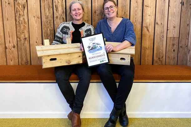 Få gratis redekasser og hjælp den truede mursejler