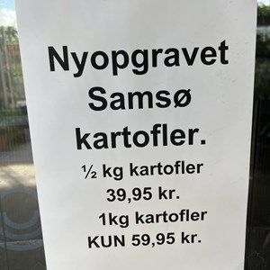 opslagsbillede