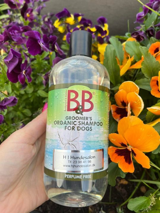 Opdatér dig her: Det nyeste fra Sæby