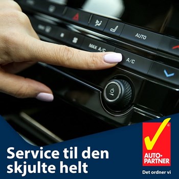 Opslagsbillede