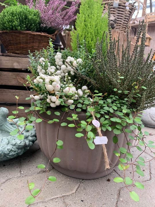 Hold dig ajour med dagens opdateringer fra Brønderslev