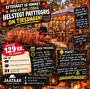 opslagsbillede