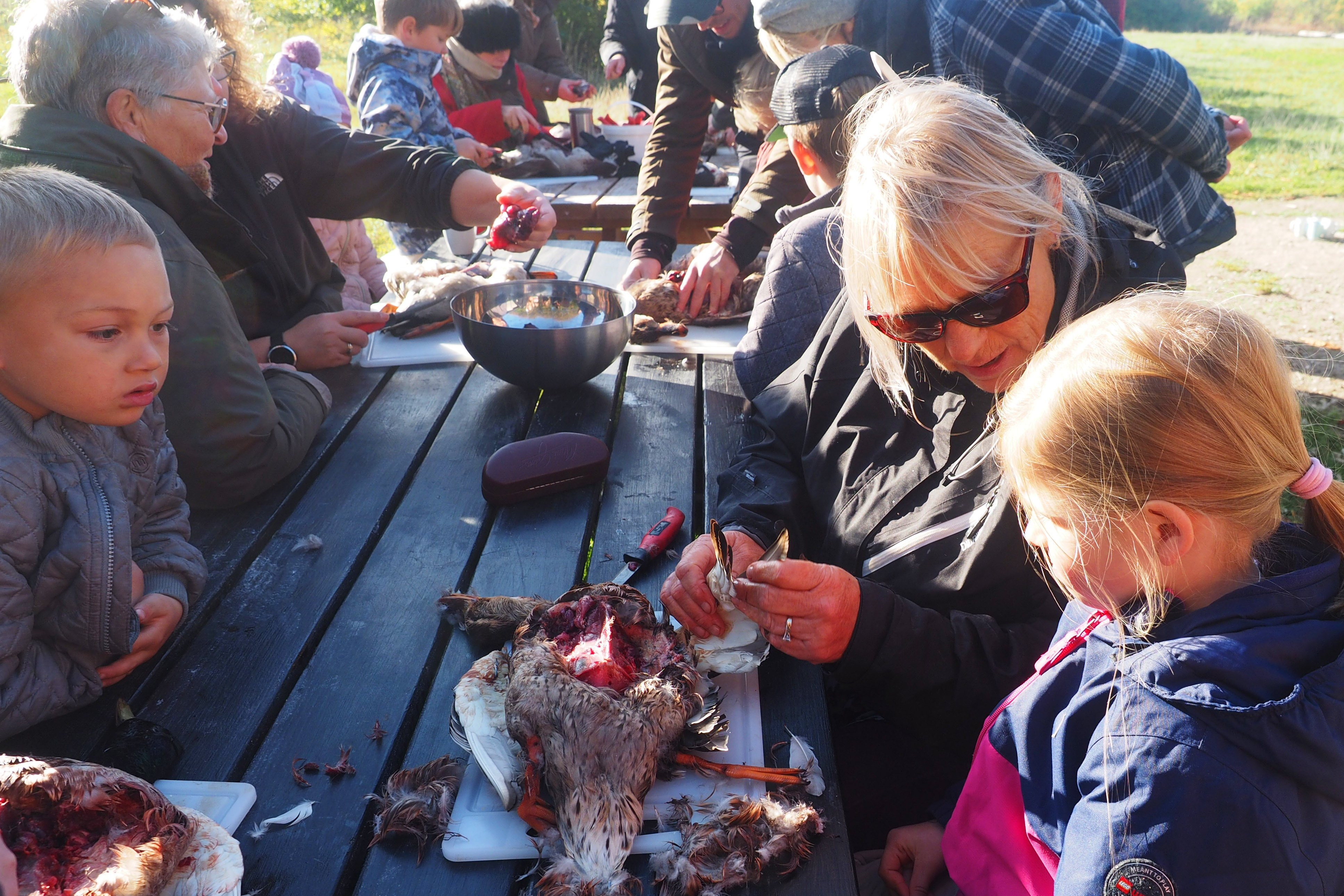 Åbent bålhus på Avnø: En kulinarisk oplevelse i efterårsferien
