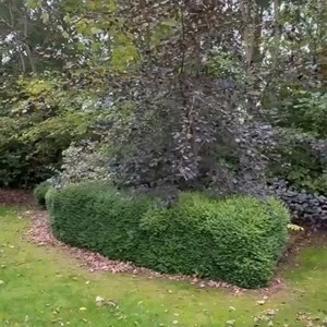 Opslagsbillede