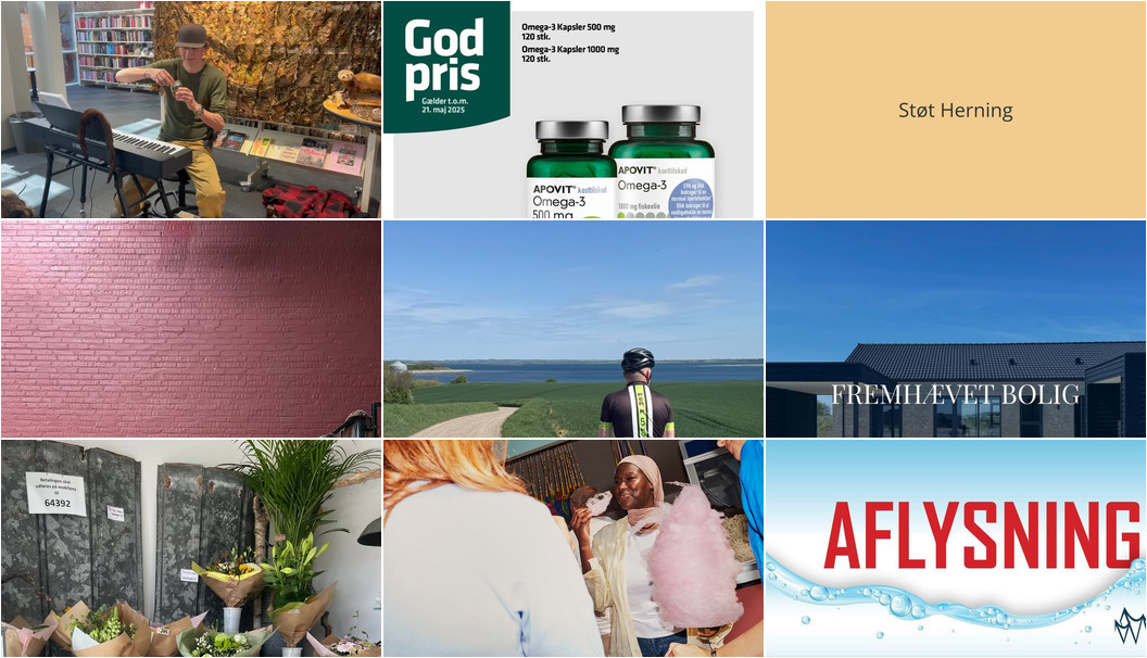 Nyt fra Vestergades Blomster ApS, RealMæglerne Herning, EMV og 5 andre