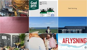 Nyt fra Vestergades Blomster ApS, RealMæglerne Herning, EMV og 5 andre