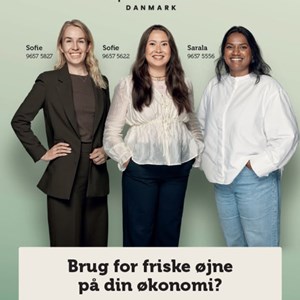 Opslagsbillede