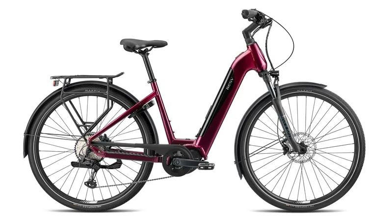 Sæby cykler tilbyder nu BESV TR 1.1 med stor rabat