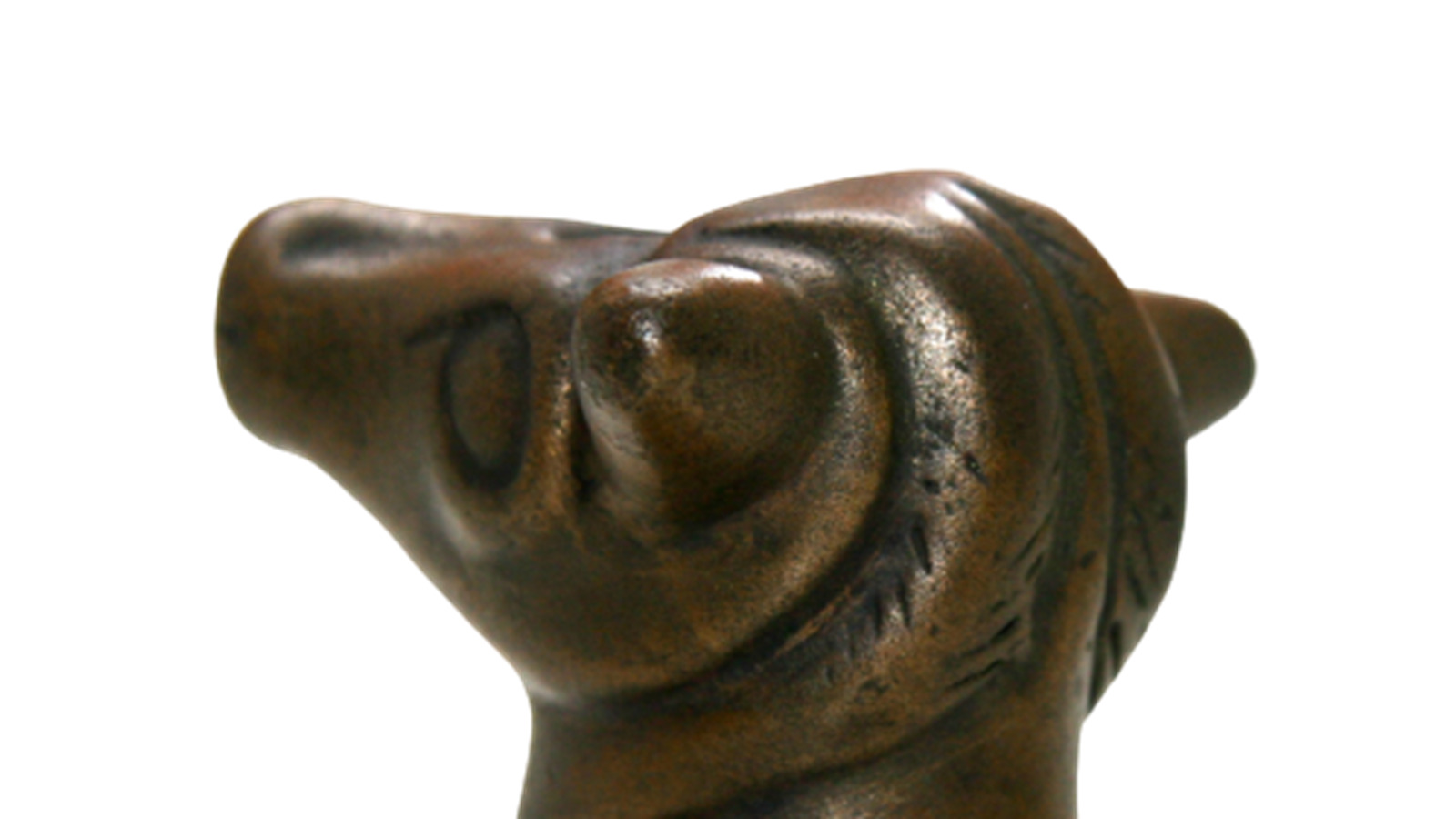 Afsløring af tyrehoved på Aabybro Rådhus