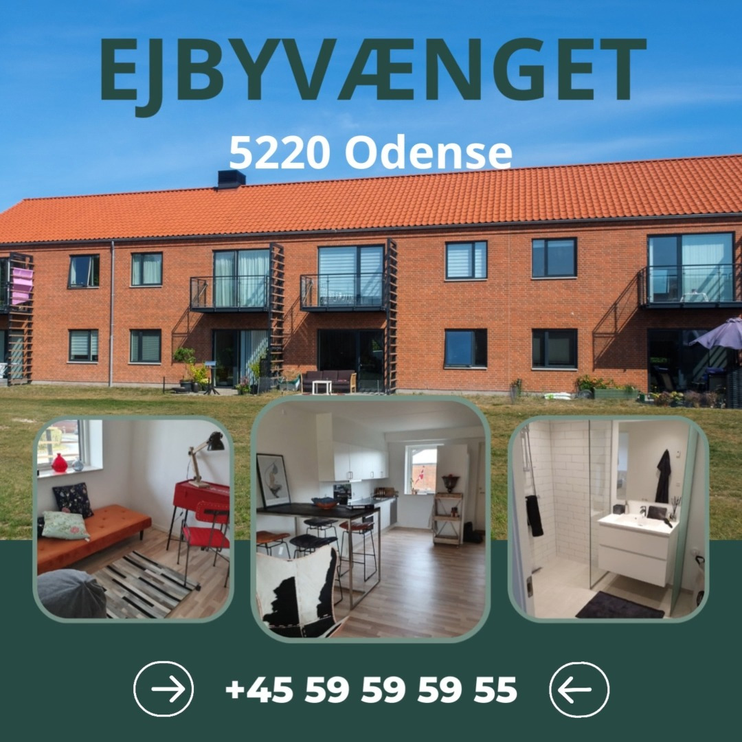 En finger på pulsen i Odense