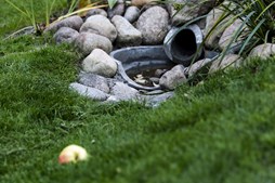 Øg biodiversiteten i din have med Martin Duus Hjellnes