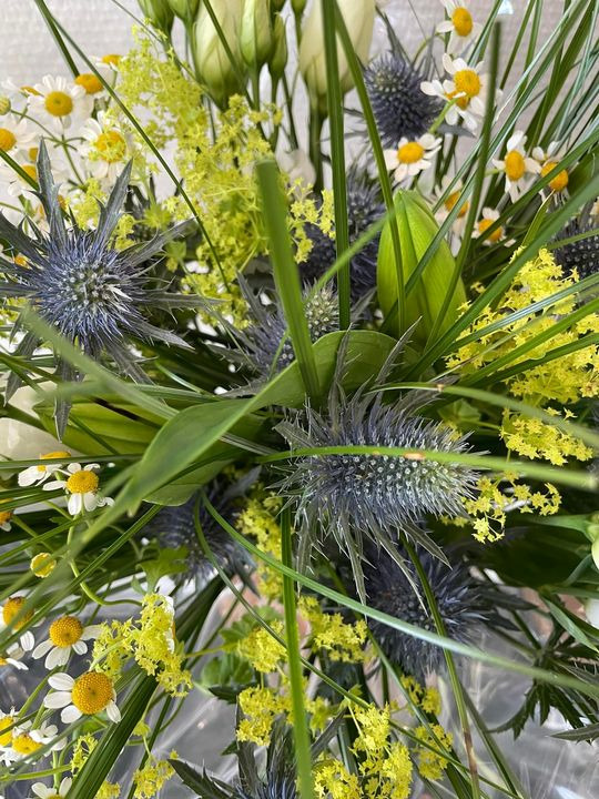 Nyt på opslagstavlen i Roslev