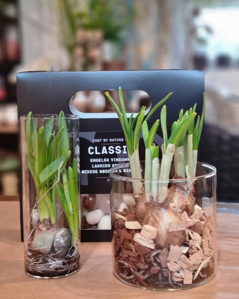 Fynbogården Blomster ApS præsenterer ugens hyggepose med blomster og lækkerier for 150 kr.