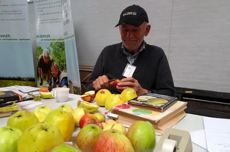 Lær kunsten at pode frugttræer i Padborg