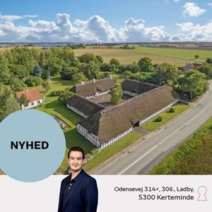 Opslagsbillede